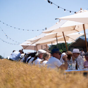 Soirées et brunchs bleus